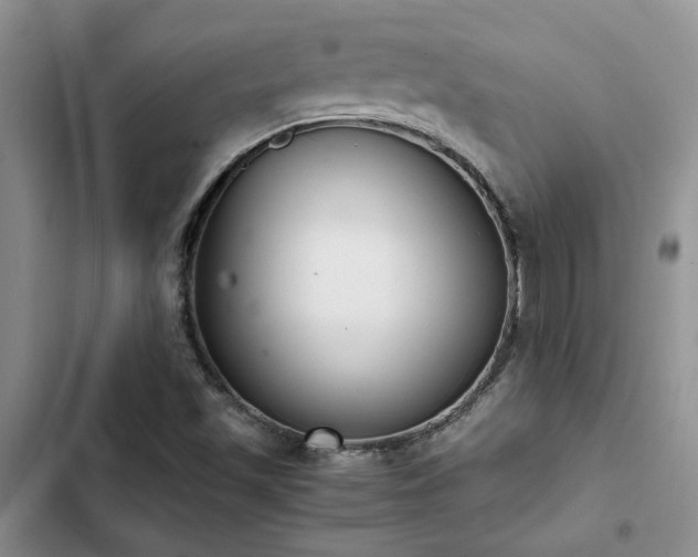 X0000102861501200808181429