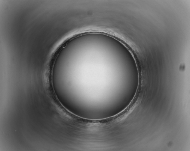 X0000102861502200808181429