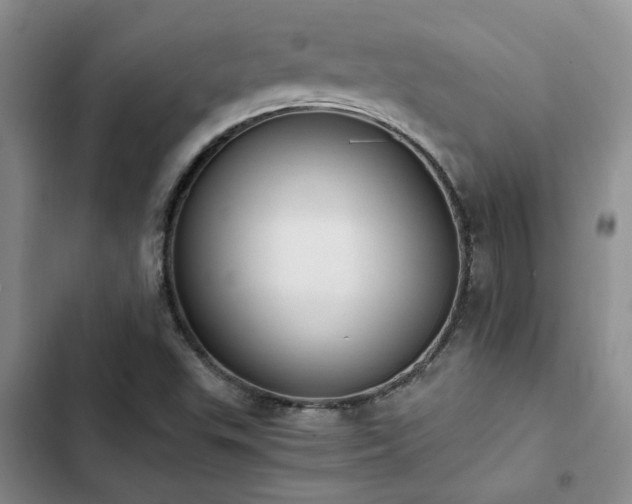 X0000102861503200808181429