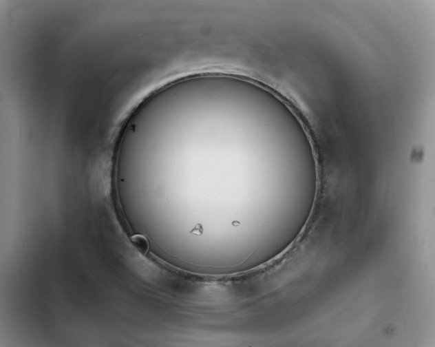 X0000102861504200808181429