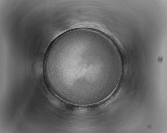 X0000102861505200808181429