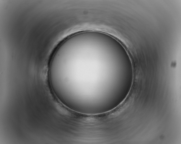 X0000102861507200808181429