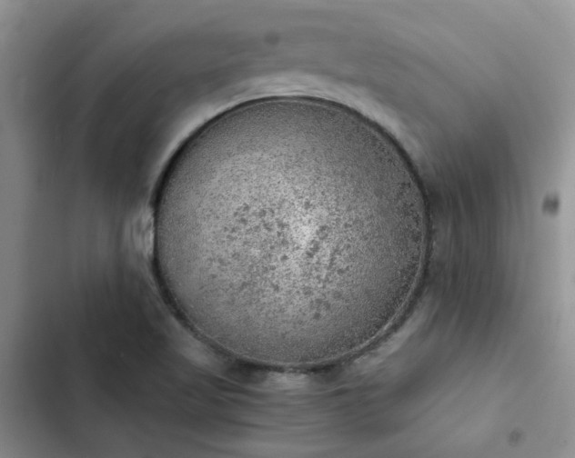 X0000102861509200808181429