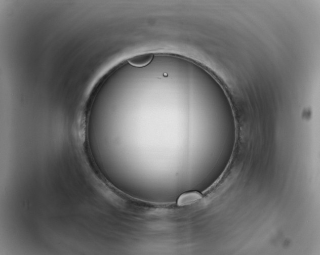 X0000102861510200808181429