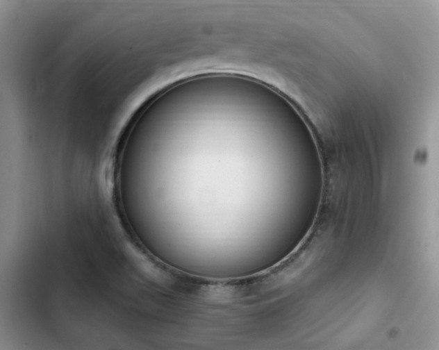 X0000102861511200808181429