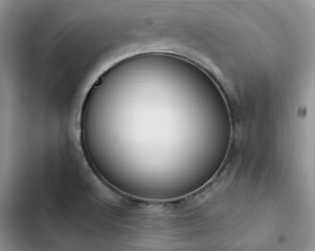 X0000102861512200808181429