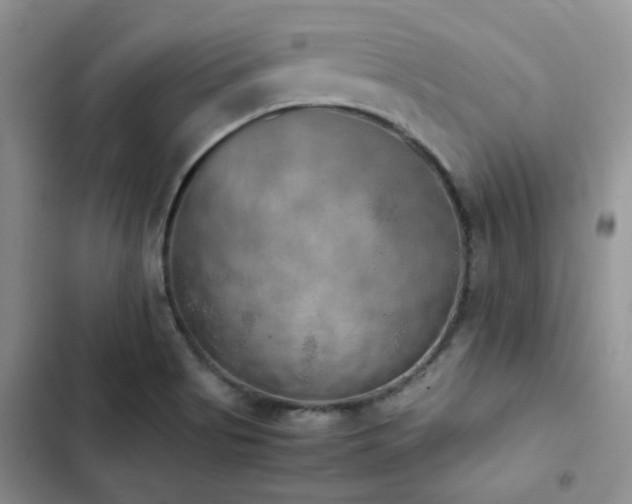 X0000102861513200808181429