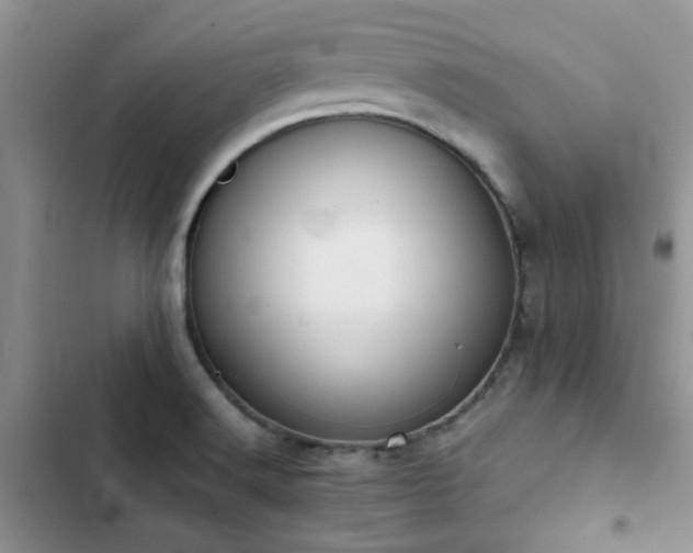 X0000102861516200808181429