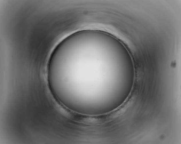 X0000102861517200808181429