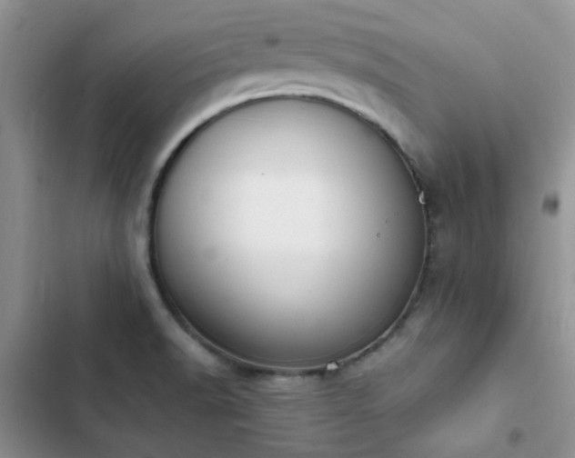 X0000102861518200808181429