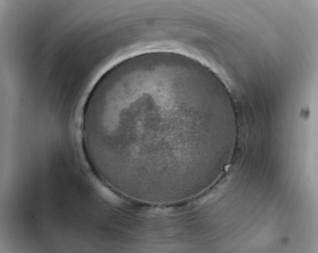 X0000102861519200808181429