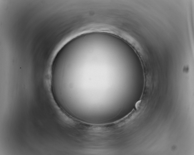 X0000102861520200808181429