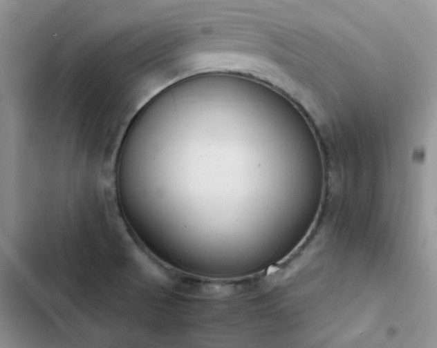 X0000102861521200808181429