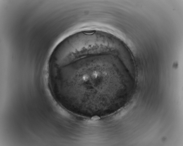 X0000102861522200808181429