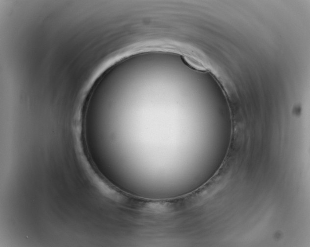 X0000102861523200808181429