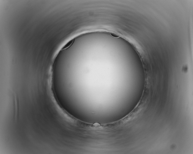 X0000102861524200808181429