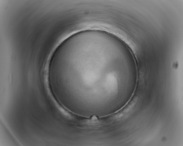 X0000102861525200808181429