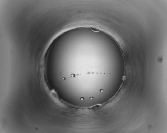 X0000102861526200808181429