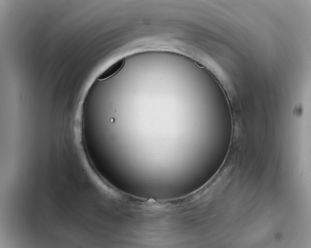 X0000102861528200808181429