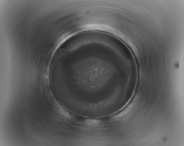 X0000102861529200808181429