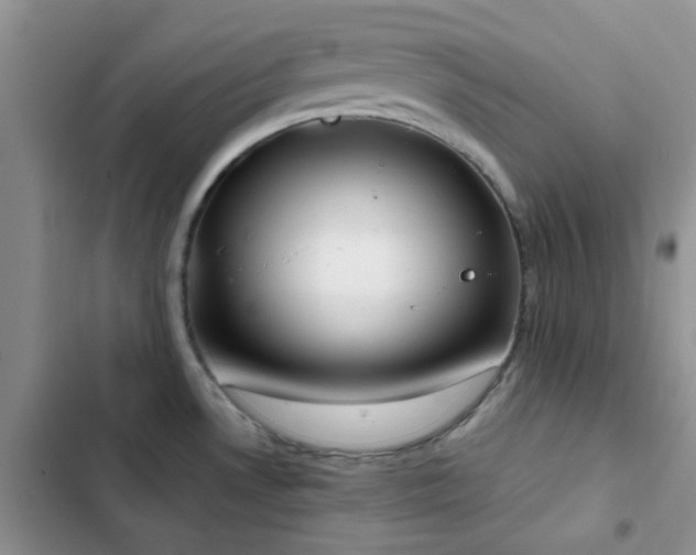 X0000102861530200808181429