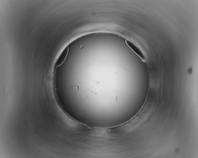 X0000102861532200808181429