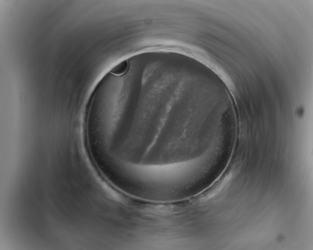 X0000102861533200808181429