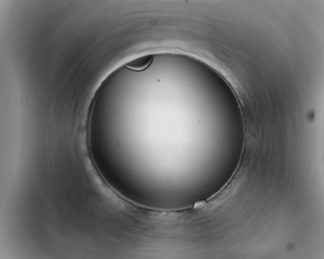 X0000102861534200808181429