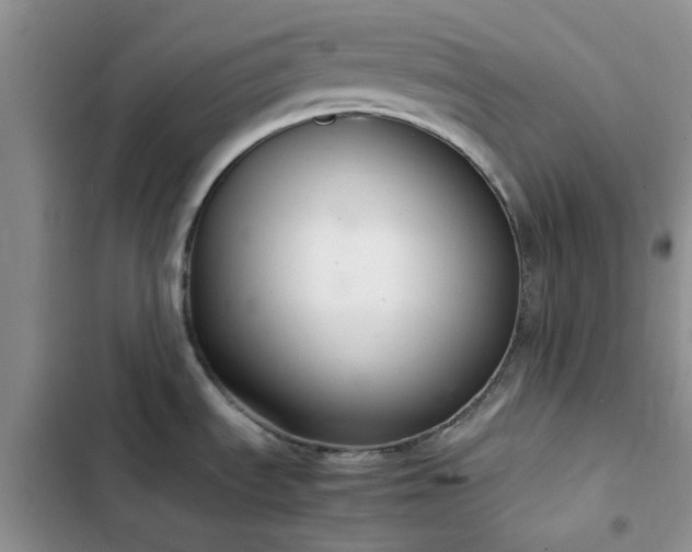 X0000102861535200808181429