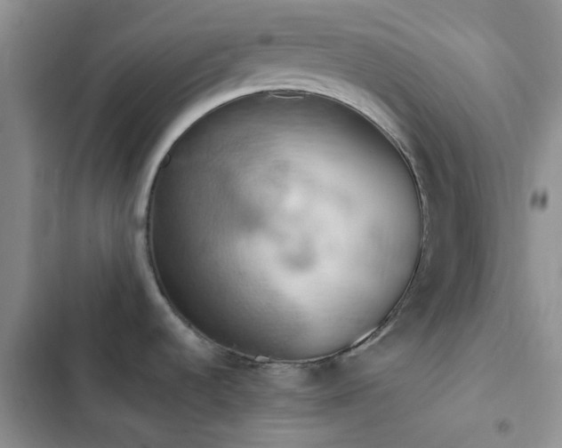 X0000102861536200808181429