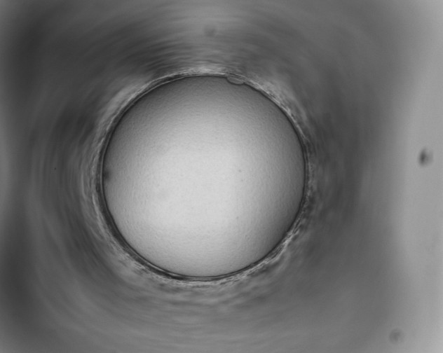 X0000102860001200808251237