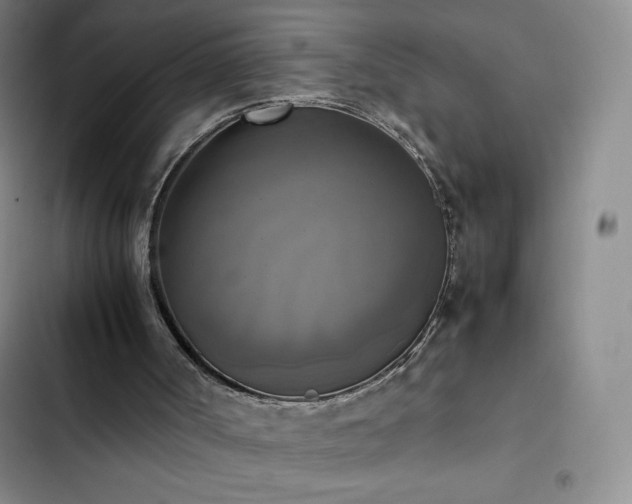 X0000102860002200808251237