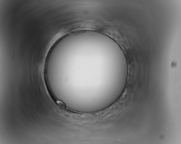 X0000102860003200808251237