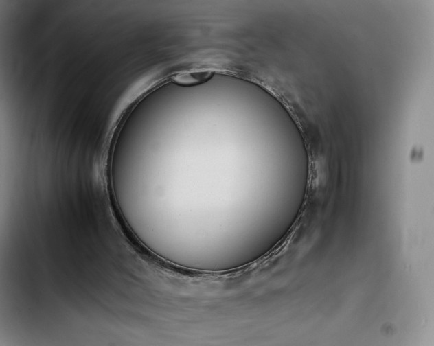 X0000102860004200808251237