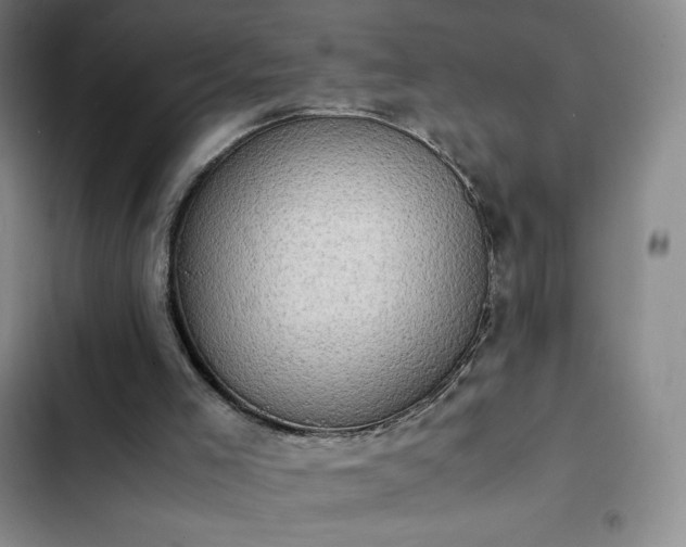 X0000102860005200808251237