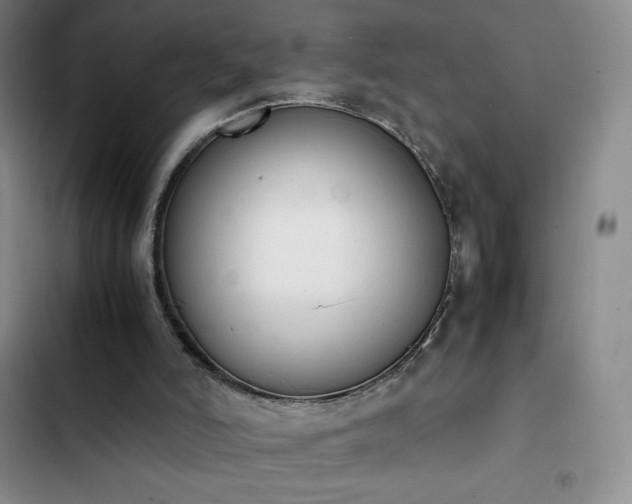 X0000102860006200808251237