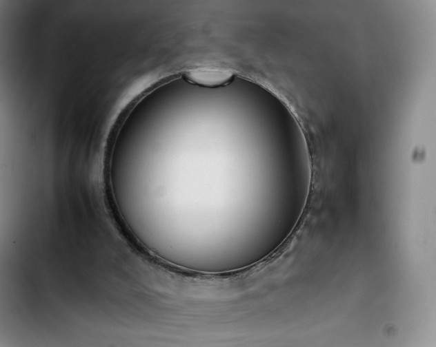 X0000102860008200808251237