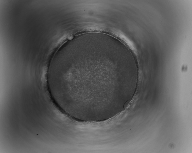 X0000102860009200808251237