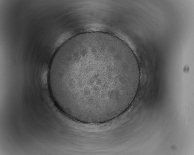 X0000102860010200808251237