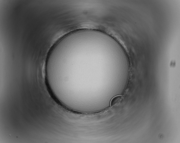 X0000102860011200808251237