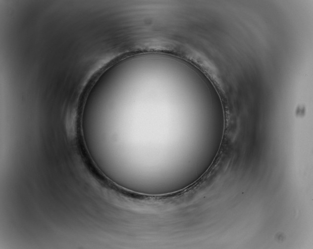 X0000102860012200808251237