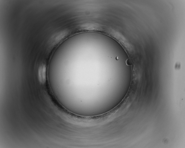 X0000102860014200808251237