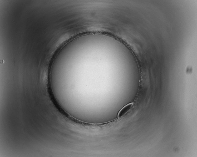 X0000102860015200808251237