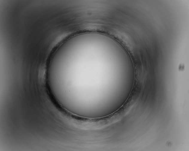 X0000102860016200808251237