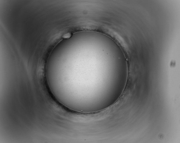 X0000102860017200808251237