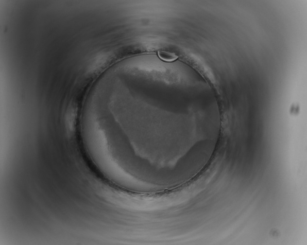 X0000102860018200808251237