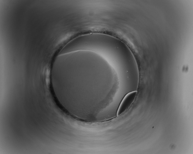 X0000102860019200808251237