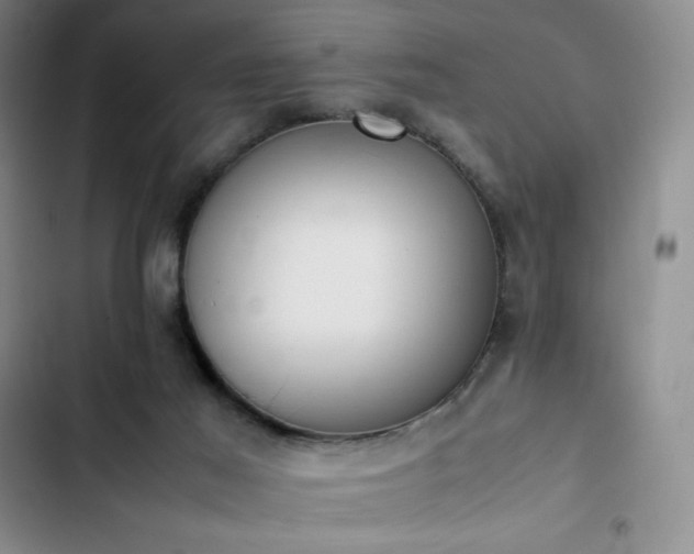 X0000102860021200808251237