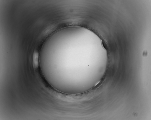 X0000102860022200808251237