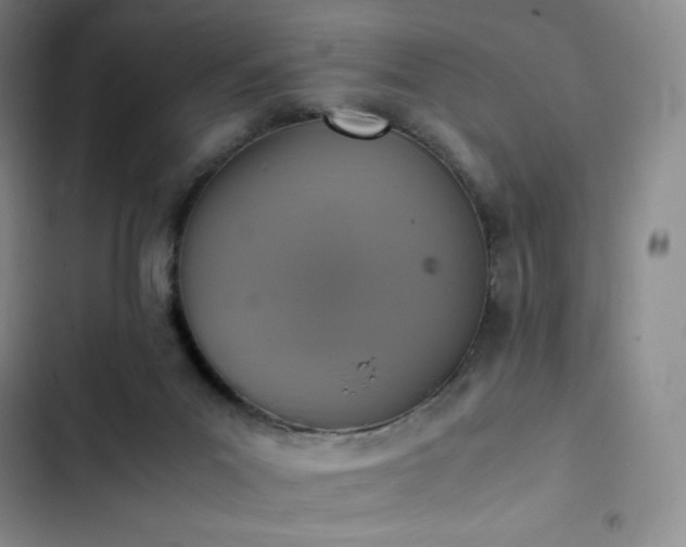 X0000102860023200808251237